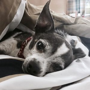 Meet your Posher, Lori